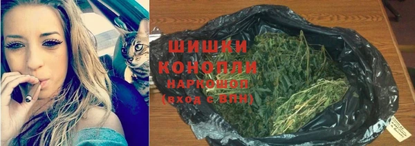ПСИЛОЦИБИНОВЫЕ ГРИБЫ Алексеевка