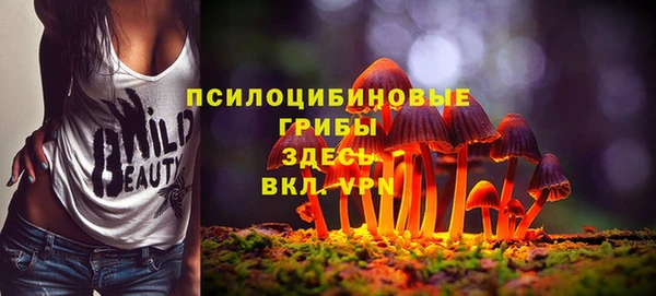 ПСИЛОЦИБИНОВЫЕ ГРИБЫ Алексеевка