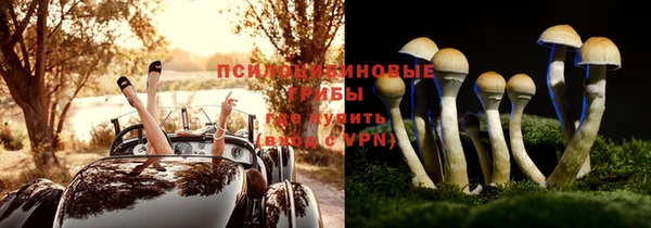 ПСИЛОЦИБИНОВЫЕ ГРИБЫ Алексеевка