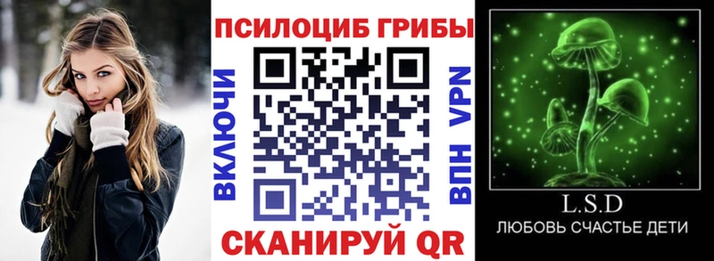 купить  цена  shop клад  Псилоцибиновые грибы Psilocybine cubensis  Вологда 